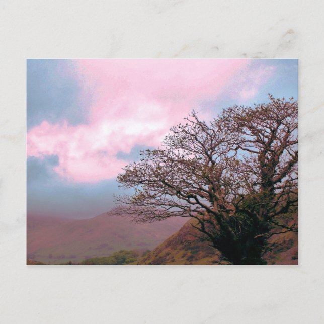 TREES POSTCARD (Front)