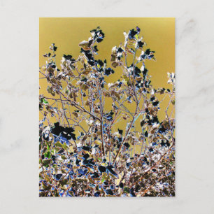 TREES POSTCARD