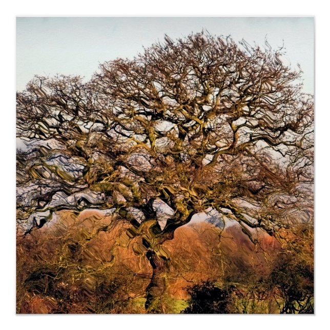 TREES POSTER (Front)