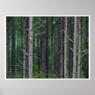 trees poster