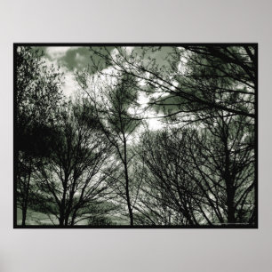 Trees   Poster
