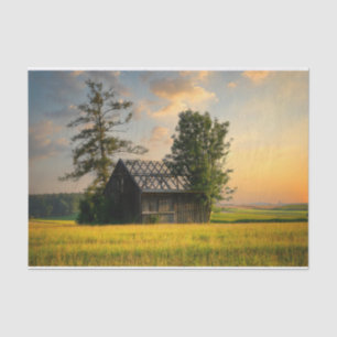 Trees Protecting a Half-Finished Barn Tissue Paper