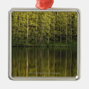Trees Reflected In The Water Metal Tree Decoration