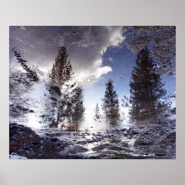 Trees reflecting in rain puddle water poster (Front)