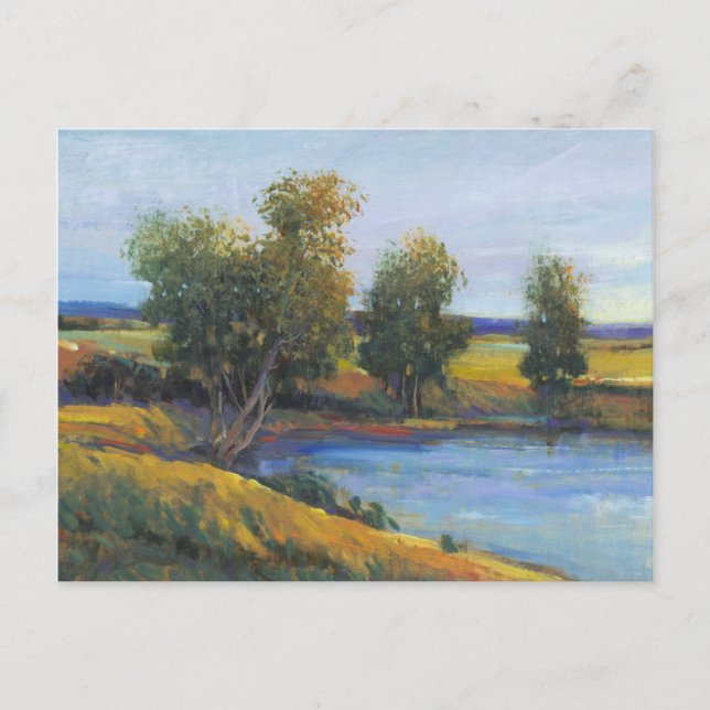 Tree's Reflection II Postcard (Front)