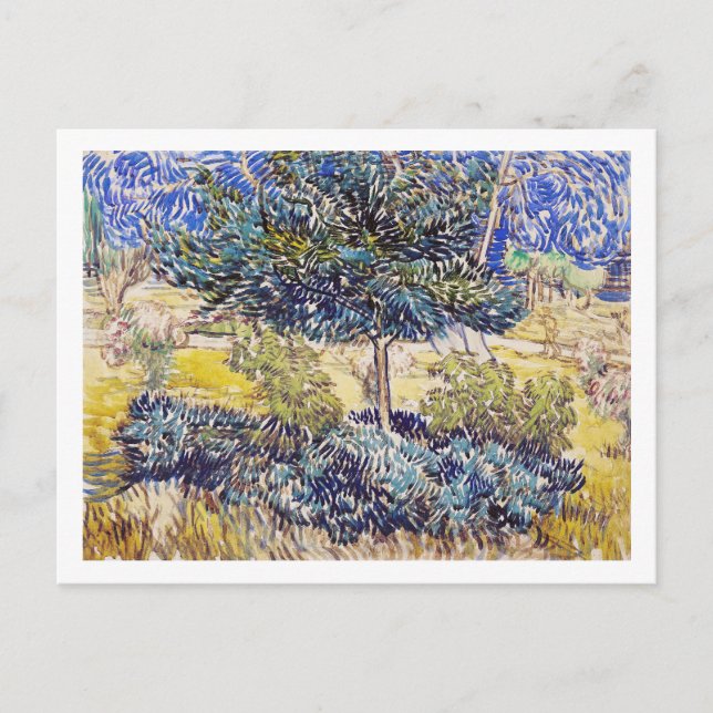 Trees Shrubs Asylum Garden Vincent Van Gogh Postcard (Front)
