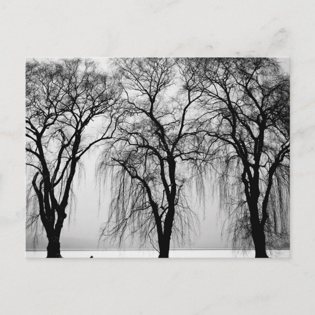Trees silhouettes in winter postcard (Front)