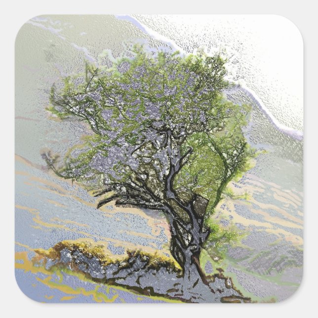 TREES SQUARE STICKER (Front)