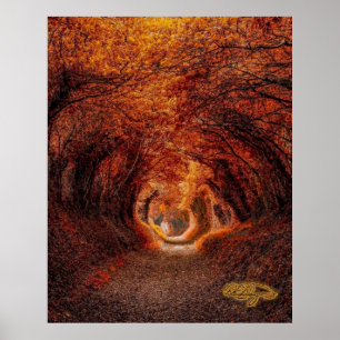 Trees Tunnel - A Light at the End of the Tunnel Poster