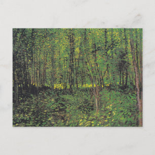 Trees & Undergrowth by Van Gogh Postcard