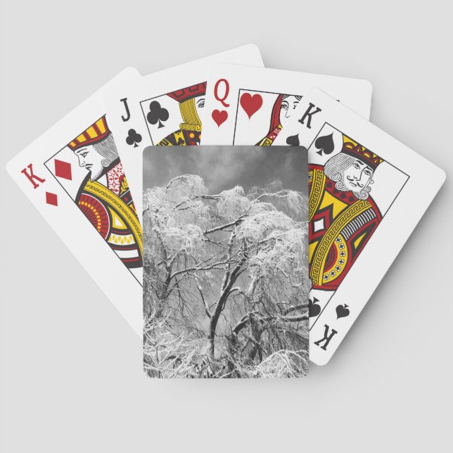 trees wear winter playing cards (Back)