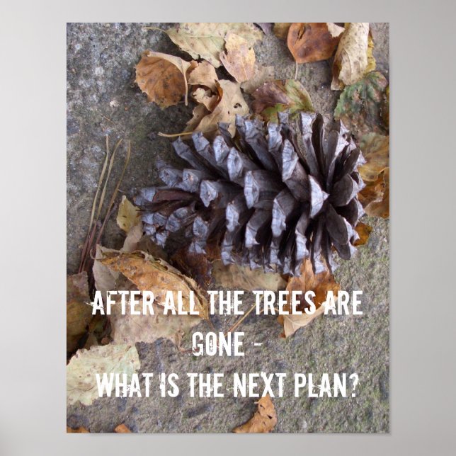 Trees wildlife poster nature conservancy animals (Front)