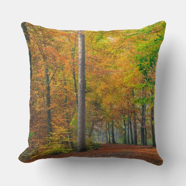 Trees with autumn foliage in a forest cushion (Front)