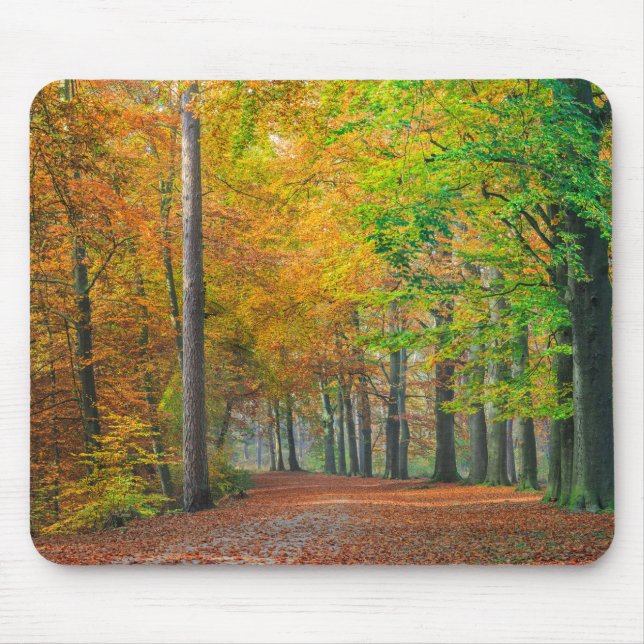 Trees with autumn foliage in a forest mouse mat (Front)