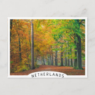 Trees with autumn foliage in a forest postcard