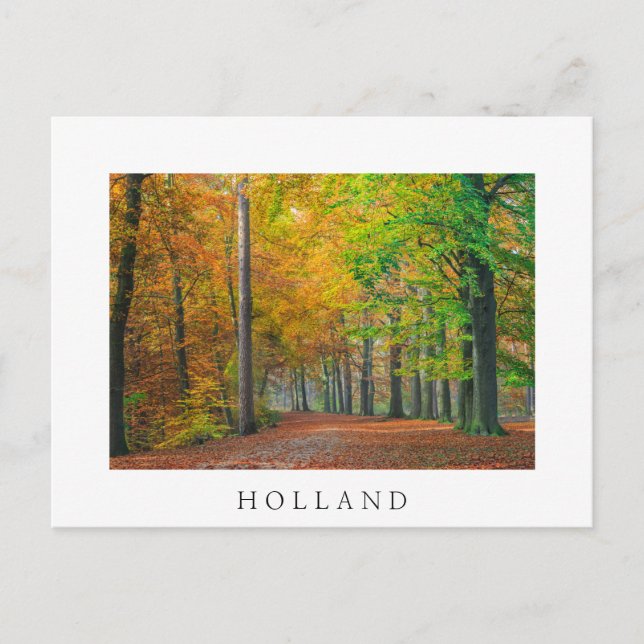 Trees with autumn foliage in a forest postcard (Front)