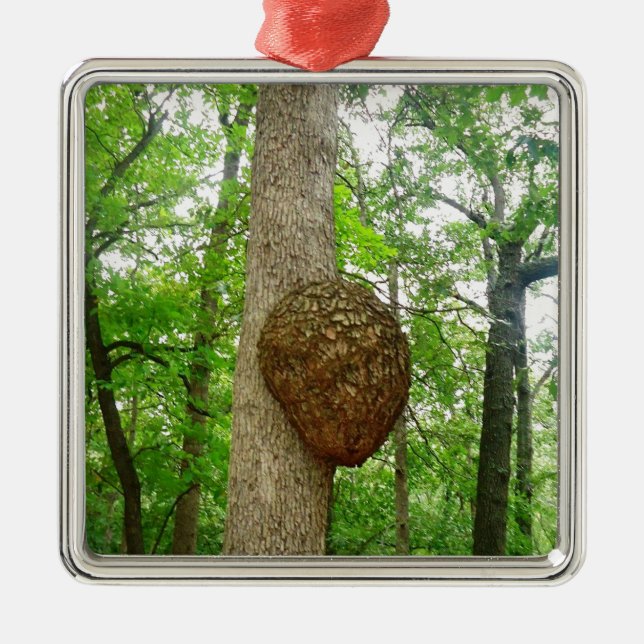 Trees with Large enclosed Bee Wasp Hive Metal Tree Decoration (Front)