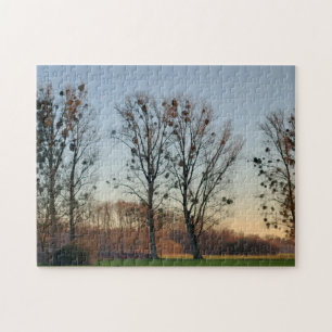 Trees with Mistletoe Against a Clear Sky Jigsaw Puzzle