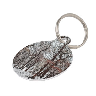 Trees, with orange leaves and snow pet tag