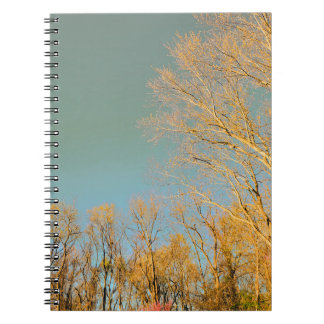Trees with Stormy Sky View Notebook
