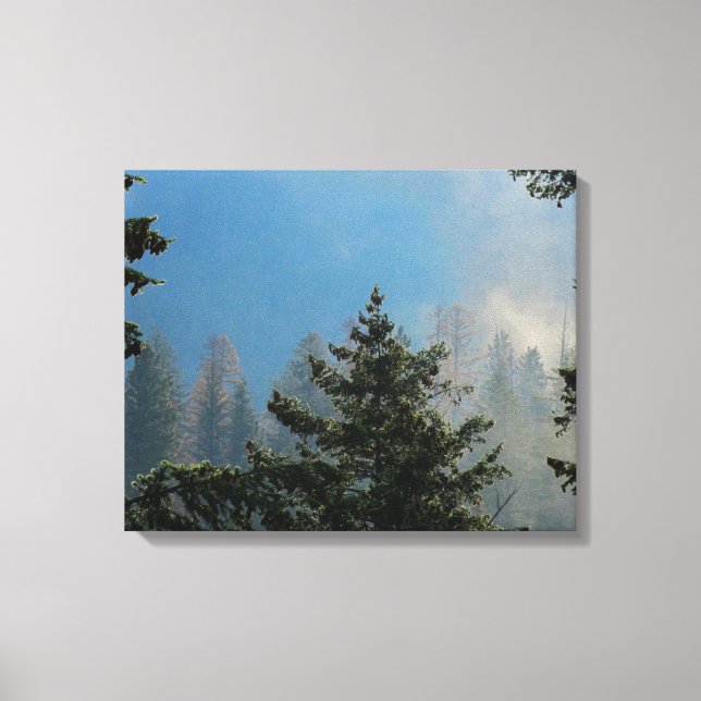 Trees Wrapped Canvas (Front)