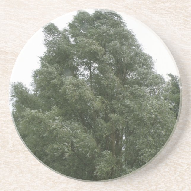 Treetops Coasters (Front)
