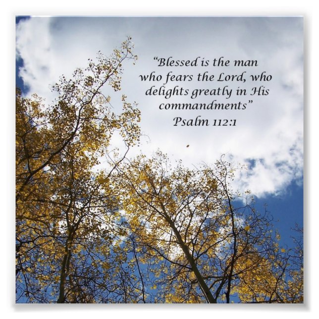 Treetops Psalms 11:23 Scripture Photo Print (Front)