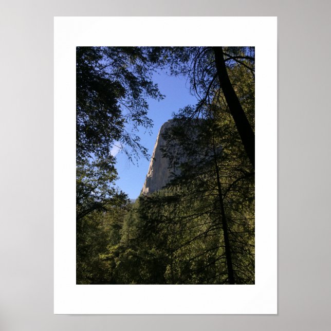 Treeview Yosemite Green Blue Colour Photography Poster (Front)