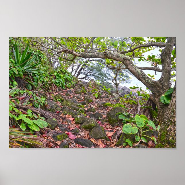 Trekking the Kalalau Trail, Napali Coast, Kauai Poster (Front)