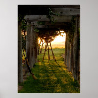 Trellis at Sunrise