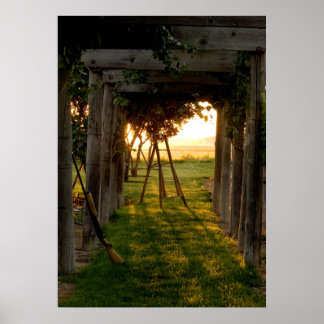 Trellis at Sunrise Poster