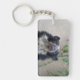 Tremarctos ornatus - Brillenbär Key Ring