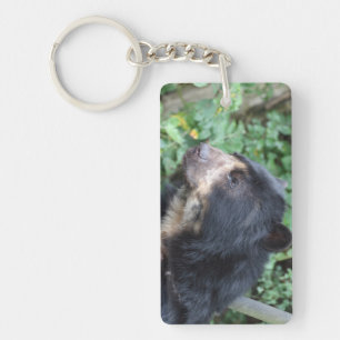 Tremarctos ornatus key ring