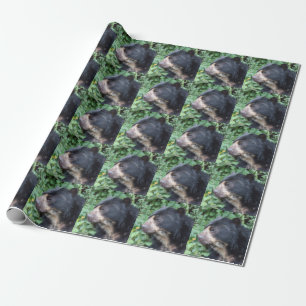 Tremarctos ornatus wrapping paper