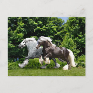 "Tremayne & Caspian" Postcard