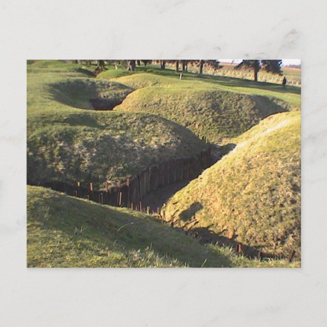 Trenches Newfoundland Park Postcard (Front)