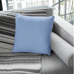 Trend Color - Powder Blue Cushion