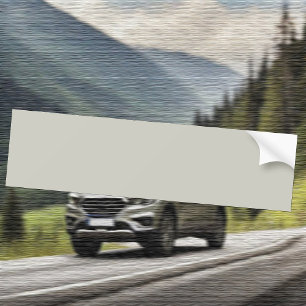 Trend Colour - Light Silver Grey Bumper Sticker