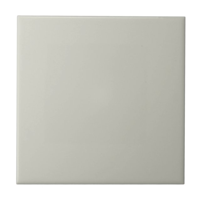 Trend Colour - Light Silver Grey Deco Ceramic Tile (Front)
