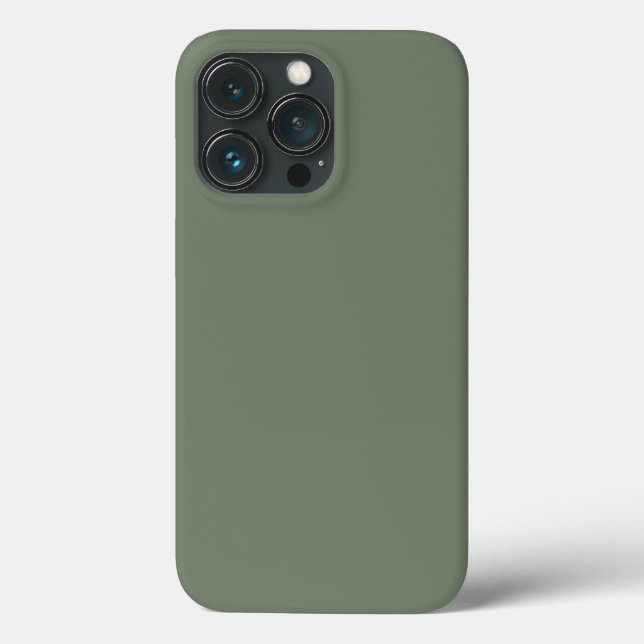Trend Colour Muted Greenish Grey  Case-Mate iPhone Case (Back)