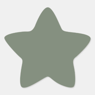 Trend Colour Muted Greenish Grey Star Sticker