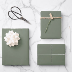Trend Colour Muted Greenish Grey Wrapping Paper Sheet