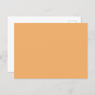 Trend Colour - Soft Orange Solid Postcard