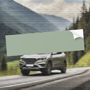 Trend Colour Soft Sage Bumper Sticker