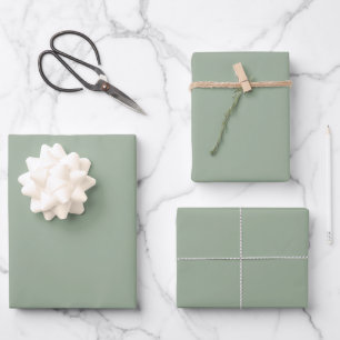 Trend Colour Soft Sage Wrapping Paper Sheet