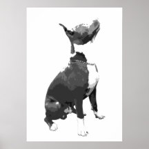 Trendy black and white Pit Bull dog