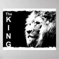 Trendy Black White Lion Template Nature Animal