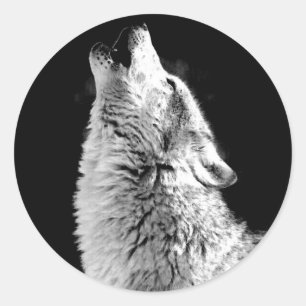 Trendy Black White Wolf Howling Moon Photo Sticker