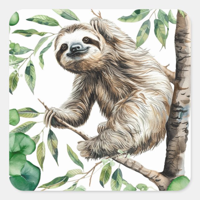 Trendy Cute Sloth In A Tree Square Sticker (Front)