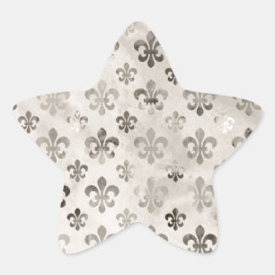 Trendy Distressed Silver Grey Fleur De Lis Pattern Star Sticker